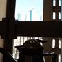 Горящие туры в отель Oriental Palace Hotel - 5