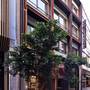 Горящие туры в отель Hotel Achilleas - 2
