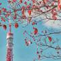Горящие туры в отель Shiba Park Hotel - 4
