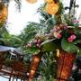 Горящие туры в отель Grand Tropic Suites Hotel - 2