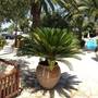 Горящие туры в отель Hotel Pyrgos Boutique & Suites - 2