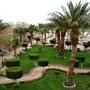 Горящие туры в отель Sahara Hurghada Resort - 2