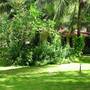 Горящие туры в отель THE BEACH RESORT - 2