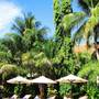 Горящие туры в отель THE BEACH RESORT - 6