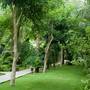 Горящие туры в отель Cham Villas Resort - 4