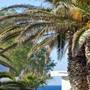 Горящие туры в отель Civitel Creta Beach - 6