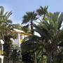Горящие туры в отель Hotel Calimera Fido Gardens - 3