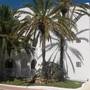 Горящие туры в отель Hotel Calimera Fido Gardens - 6
