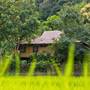 Горящие туры в отель Hmong Hilltribe Lodge - 6