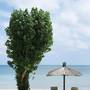 Горящие туры в отель Jimbaran Puri Bali - 5