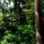 Горящие туры в отель Andaman - 1