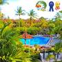 Горящие туры в отель Palm Beach - 2