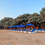 Горящие туры в отель Inna Sindhu Beach - 2