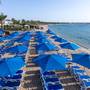 Горящие туры в отель Naama Bay Hotel - 1