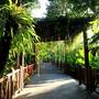 Горящие туры в отель Marina Phuket Resort - 6