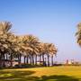 Горящие туры в отель Coral Beach Resort - 6