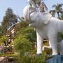 Горящие туры в отель Chang Park - 3