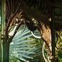 Горящие туры в отель Adrian Hoteles Jardines De Nivaria - 5