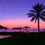 Горящие туры в отель Flamingo Beach Resort - 3