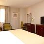 Горящие туры в отель Holiday Inn Olaya - 4