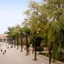 Горящие туры в отель Hotel Ali - 1
