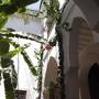 Горящие туры в отель Riad Les Bougainvilliers - 6