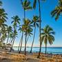 Горящие туры в отель Hilton La Romana, an All-Inclusive Adult Only Resort - 4