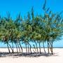 Горящие туры в отель Ocean Beach Resort & Spa - 2