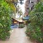 Горящие туры в отель Tangerine Boutique Resort - 5