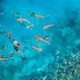 Горящие туры в отель Anantara Veli Maldives - 1