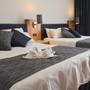 Горящие туры в отель Cavalieri Art Hotel - 5