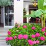 Горящие туры в отель Sun Village Apartments - 6