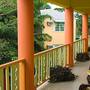Горящие туры в отель Grand Pineapple Beach Negril - 5