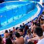Горящие туры в отель Daima Biz Resort - 1