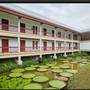 Горящие туры в отель Ma Doo Bua Phuket - 1