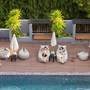 Горящие туры в отель Phuvaree Resort - 4