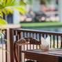 Горящие туры в отель Eastiny Resort - 2