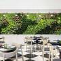 Горящие туры в отель ibis Dubai Deira City Centre Hotel - 6