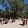 Горящие туры в отель Sahara Beach - 5