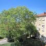 Горящие туры в отель Filum Split Centar Apartments&Rooms  - 5