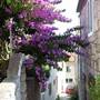 Горящие туры в отель Apartments and Rooms Bonkan Hvar  - 4