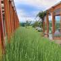 Горящие туры в отель Rooms and Apartments Angelina  - 5