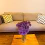 Горящие туры в отель Maygut Apartments and Rooms  - 1