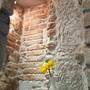 Горящие туры в отель Palazzo Comfort Apartments  - 6
