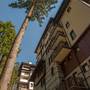 Горящие туры в отель Green Life Family Apartments Pamporovo - 2