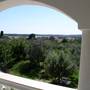 Горящие туры в отель Apartments Paloma Blanca  - 2