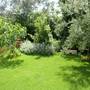 Горящие туры в отель Apartments Paloma Blanca  - 3