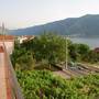 Горящие туры в отель Apartments Kaludjerovic  - 5