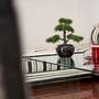 Горящие туры в отель Apartments Domus Sidro  - 6
