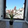 Горящие туры в отель City Centre Apartments  - 2